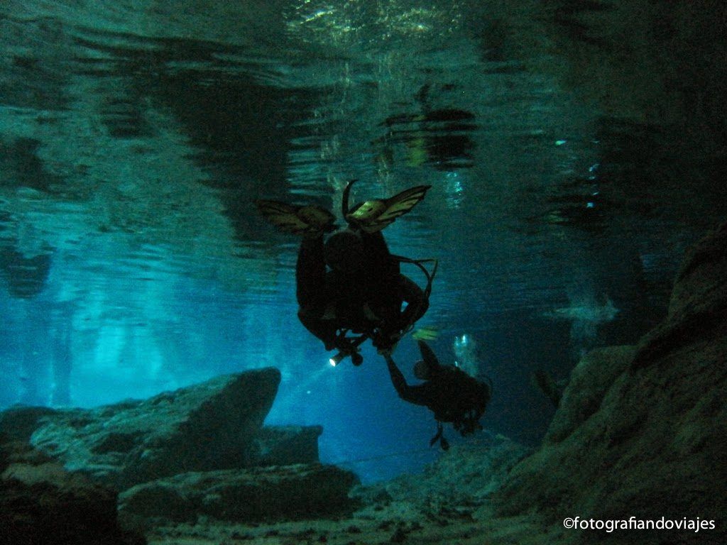 Buceo en Cenotes