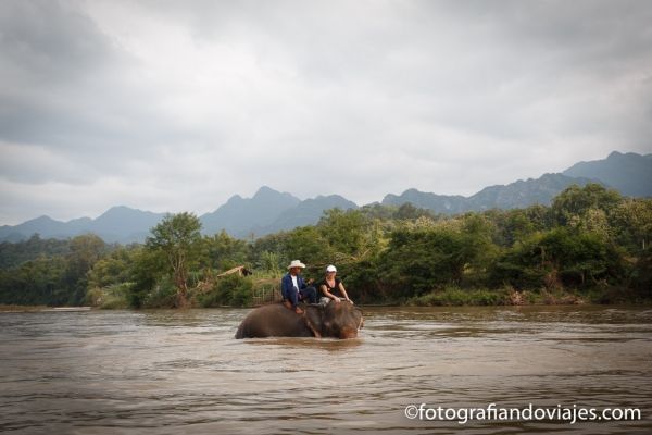 campamento de elefantes en Luang Prabang