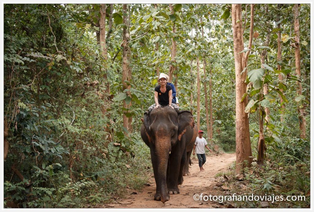 campamento de elefantes en Laos