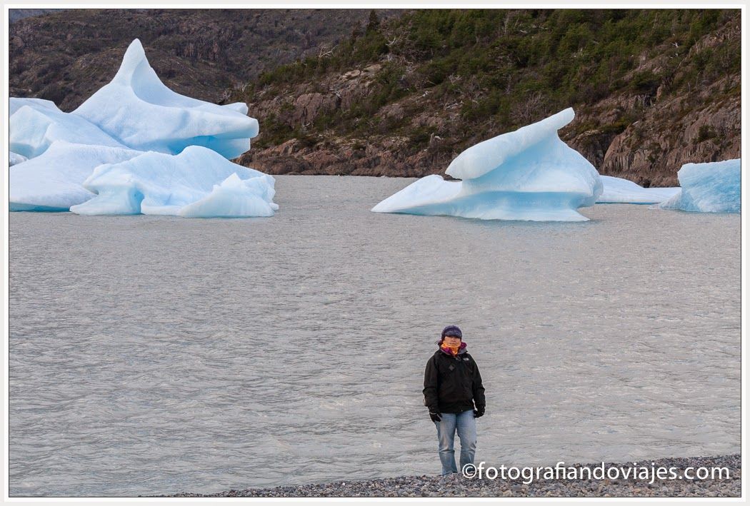 Icebergs en la orilla del lago Grey