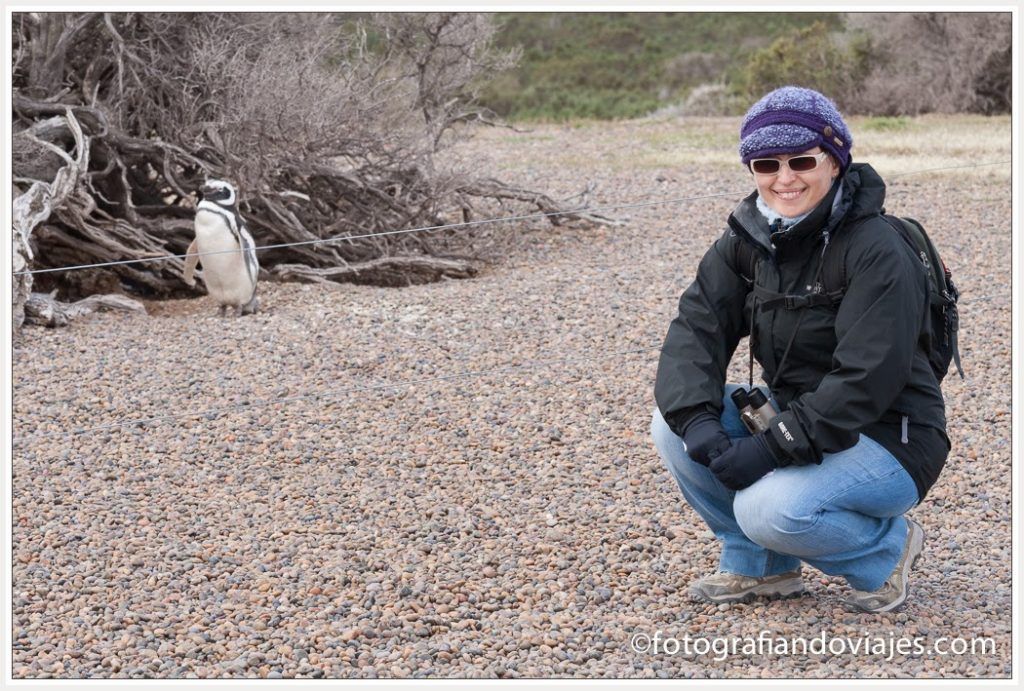 pingüinos en Punta Tombo Argentina