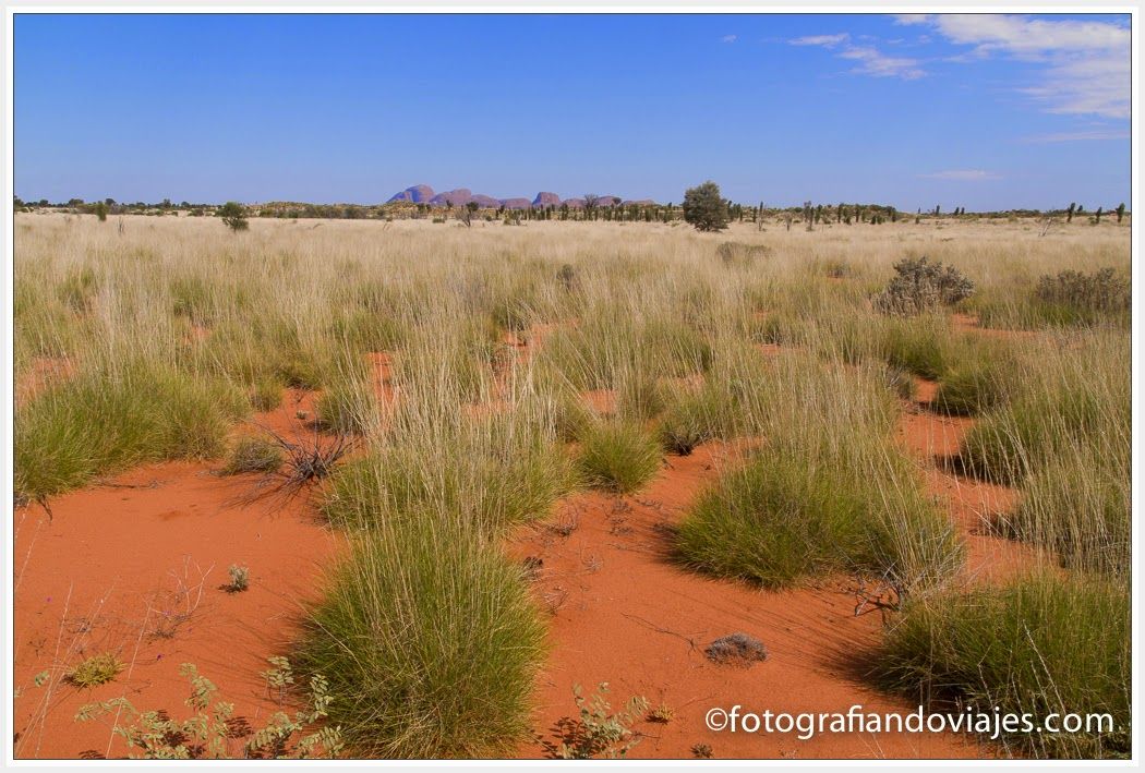 Viaje por el outback australiano: de Alice Springs al Uluru por Kings ...