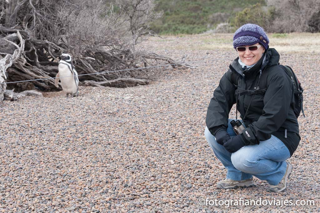 pinguinos en punta tombo argentina