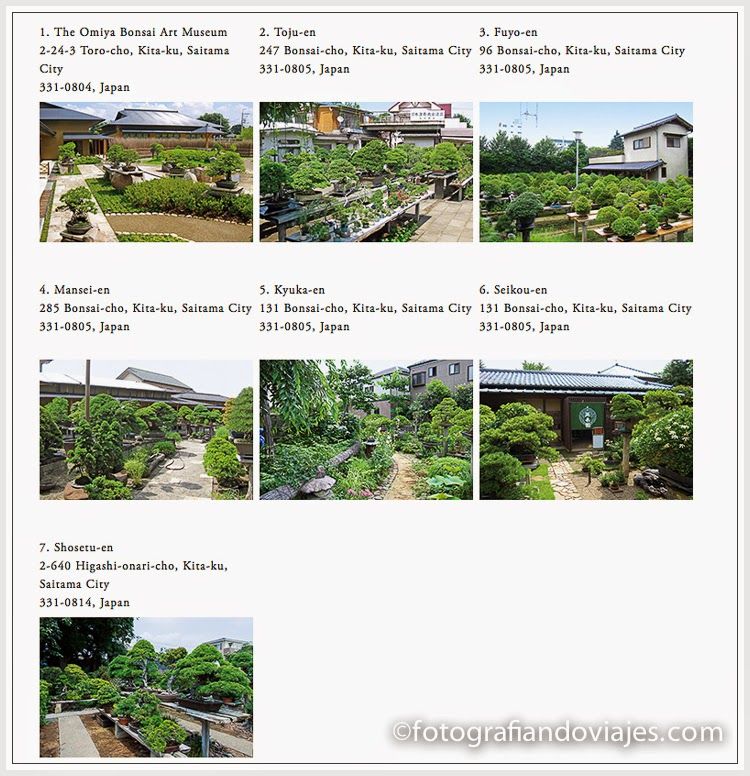 Omiya jardines de bonsais en Omiya, Japon