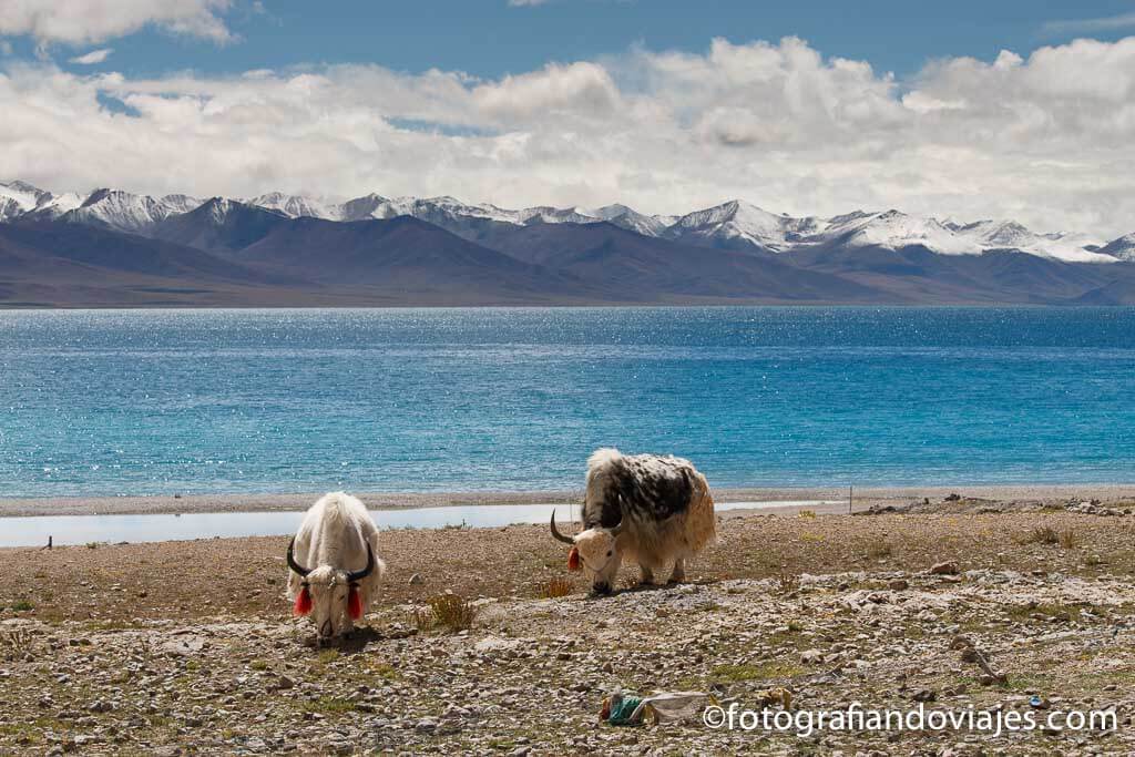 Lago Namtso Nam Tibet