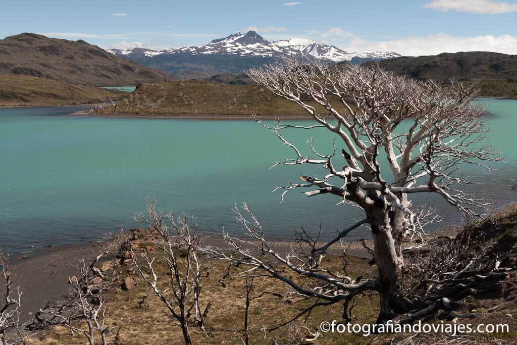Camino al mirador lago Nordenskjold