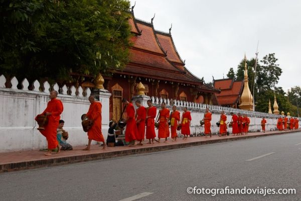 ceremonia de los monjes de Luang prabang en laos 