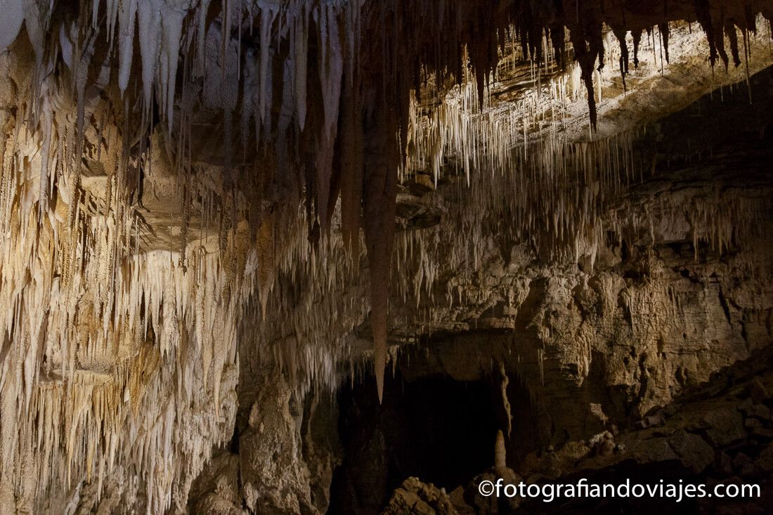 Cuevas de Waitomo