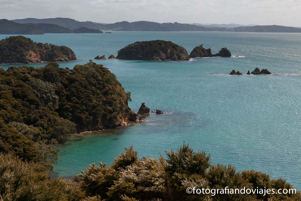 Bahia de las islas Nueva Zelanda 