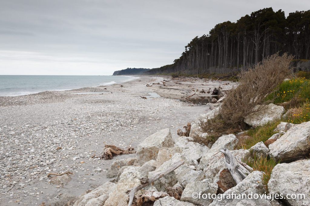 Costa oeste Carreteras de Nueva Zelanda