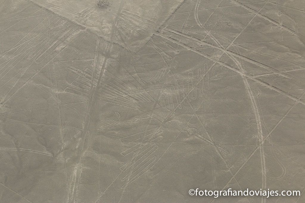 Lineas Nazca Peru