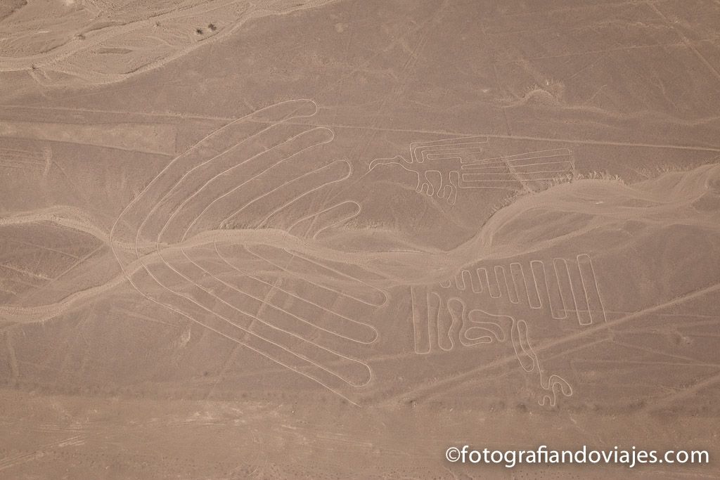 Lineas Nazca Peru