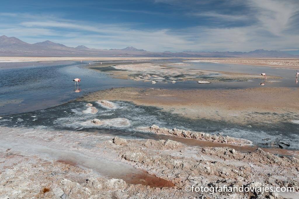 Salar de Atacama Chile