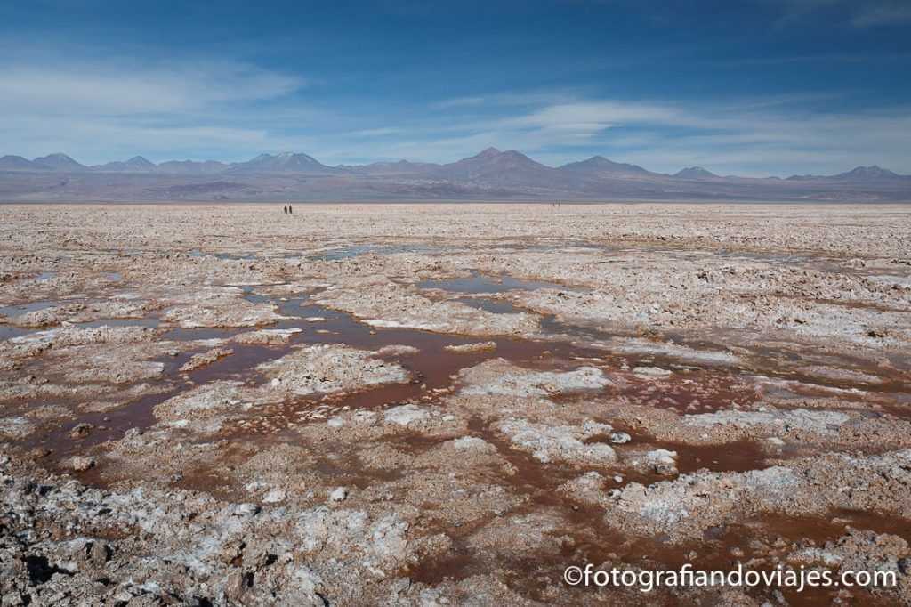 Salar de Atacama desierto Atacama Chile
