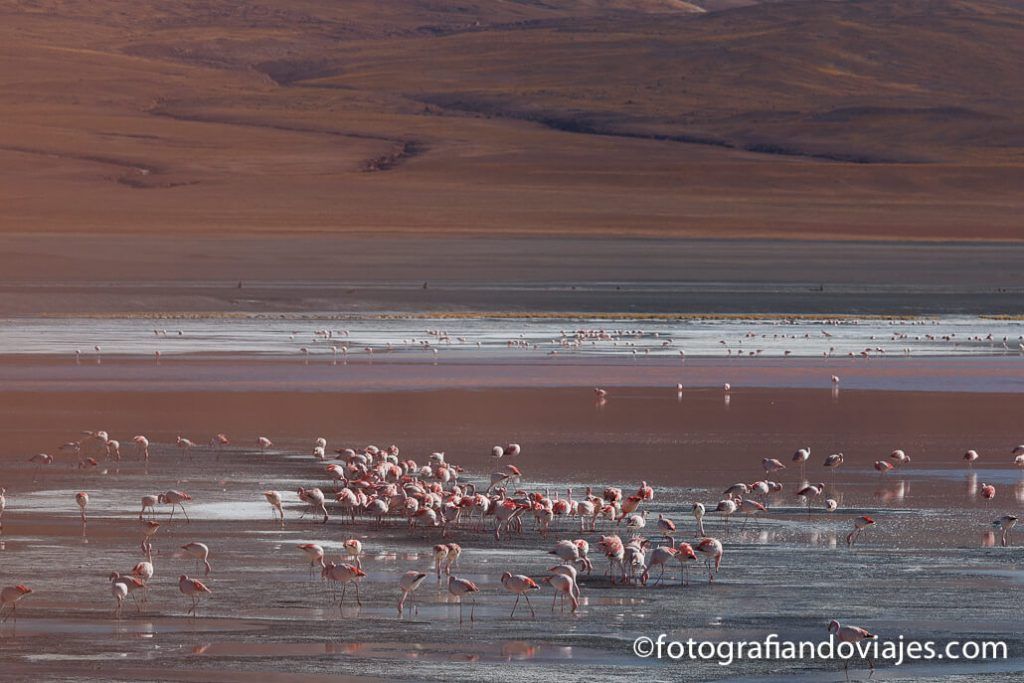 Parque Eduardo Avaroa Bolivia