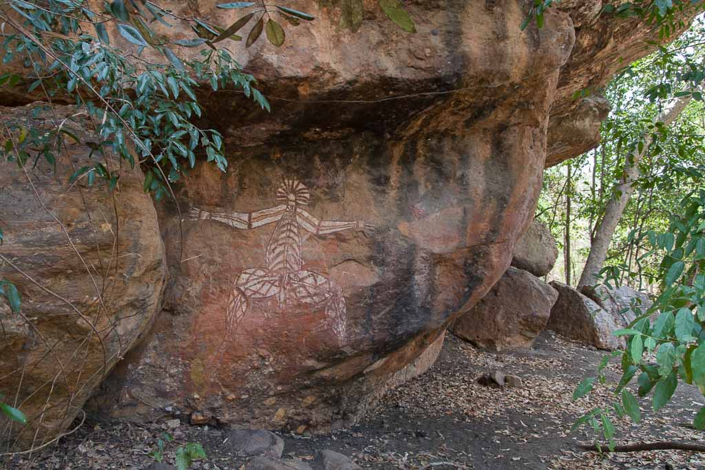 Kakadu Australia