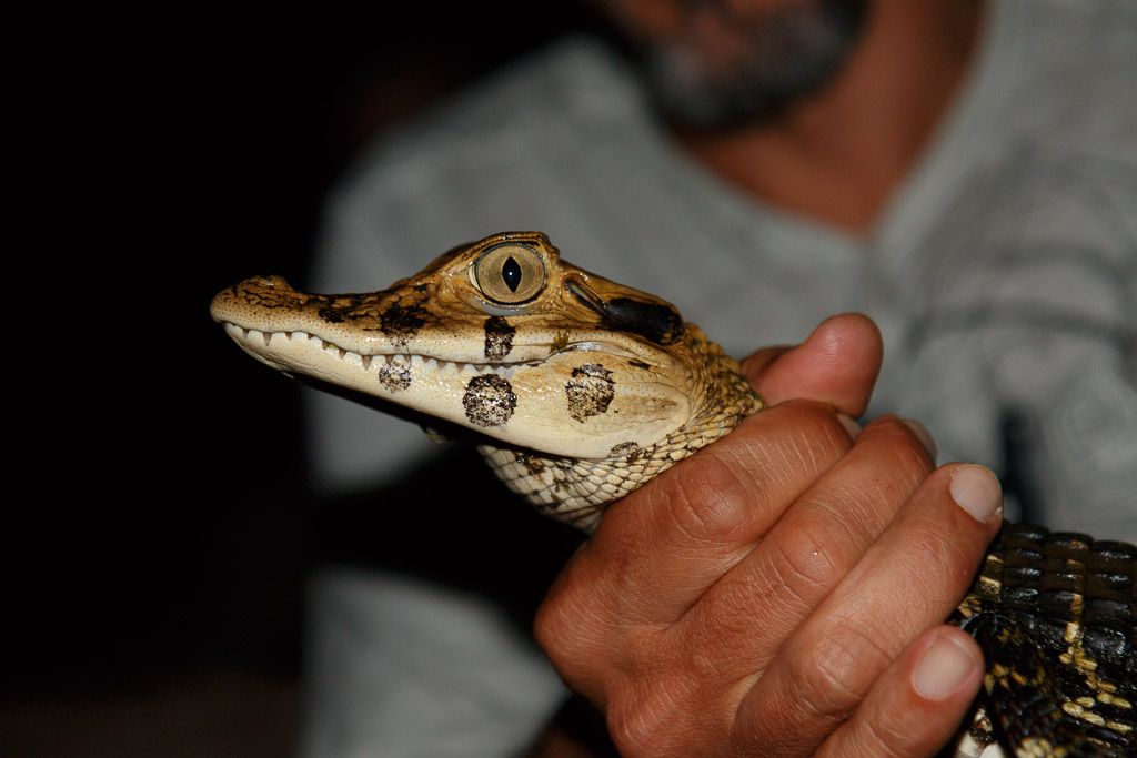 amazonas Peru