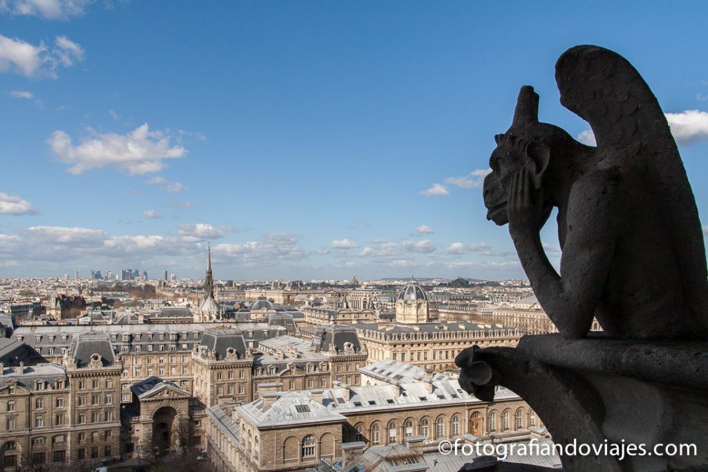 Vistas desde las torres de Notre Dame