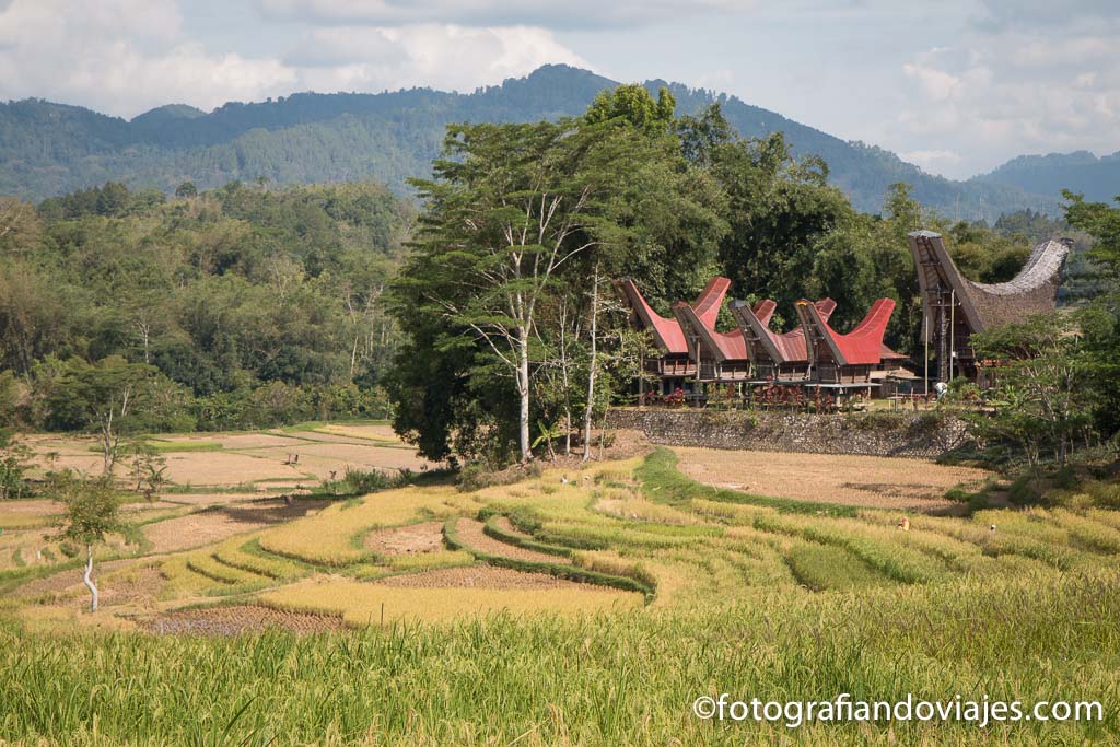 Que ver en Indonesia Toraja