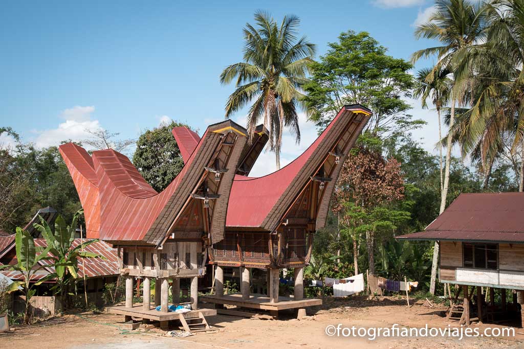 Como organizar un viaje a Tana Toraja en Sulawesi