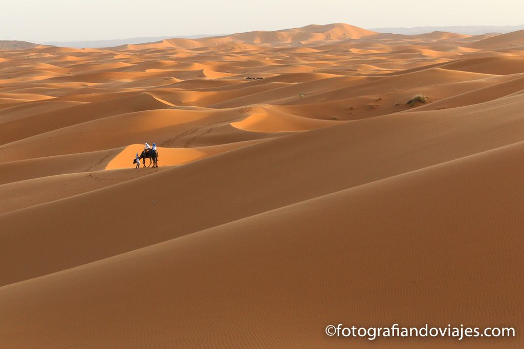 Dunas naranjas desierto