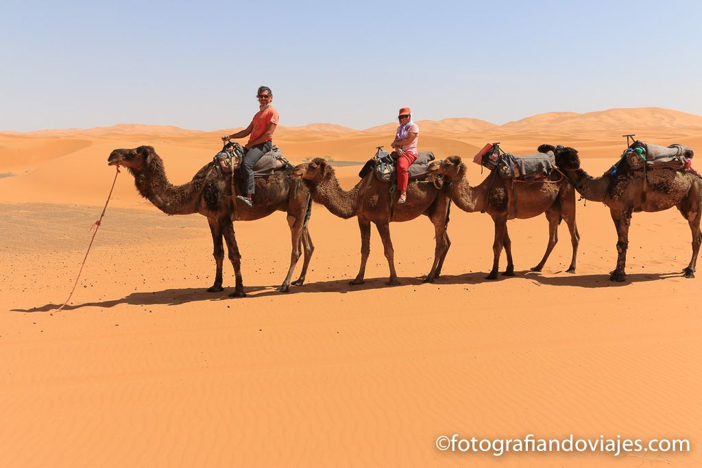 Recorrido en camello por el desierto