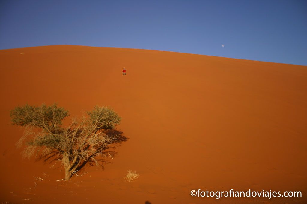 Duna 45 en el desierto Namib