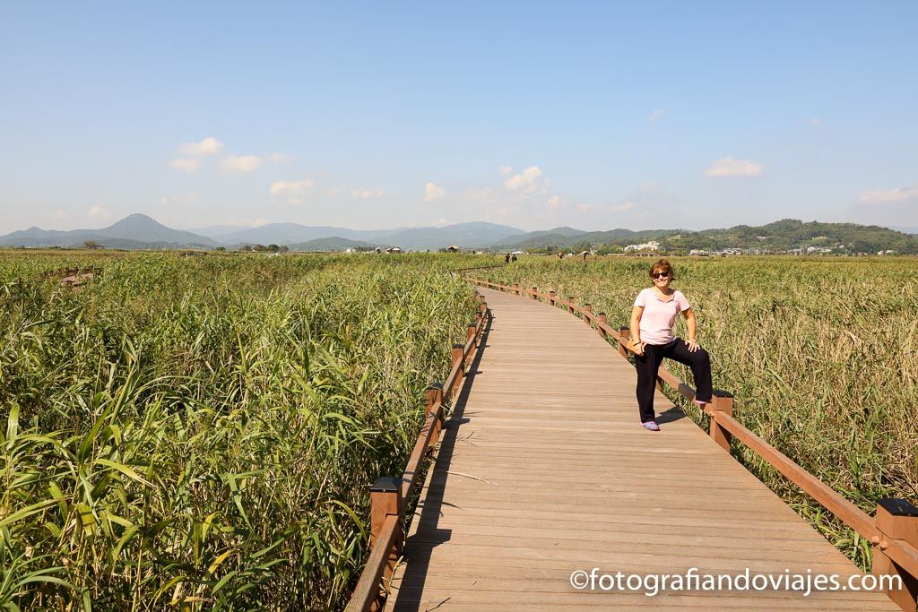 sunsheonman wetland en corea del sur