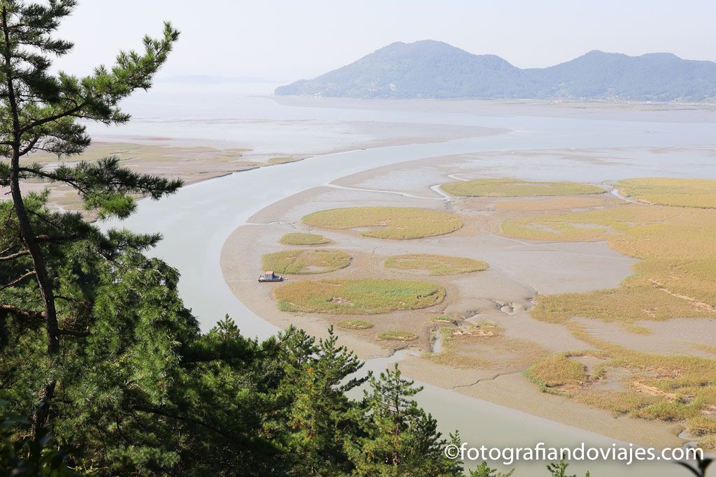 sunsheonman wetland en corea del sur
