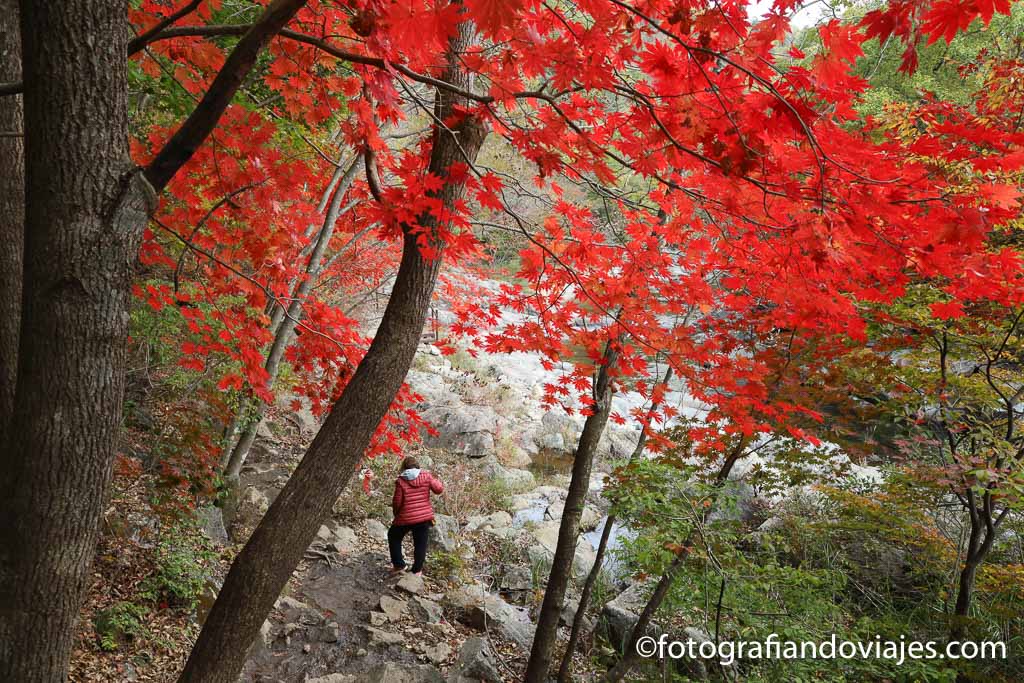 Seonjaegil parque nacional odaesan corea del sur