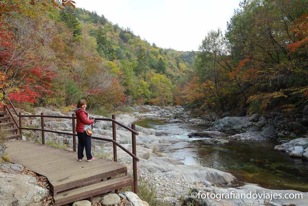 Seonjaegil parque nacional odaesan corea del sur