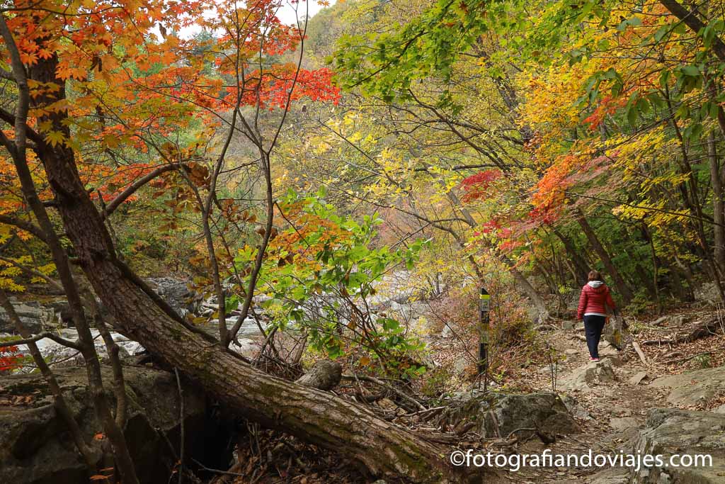 Seonjaegil parque nacional odaesan corea del sur