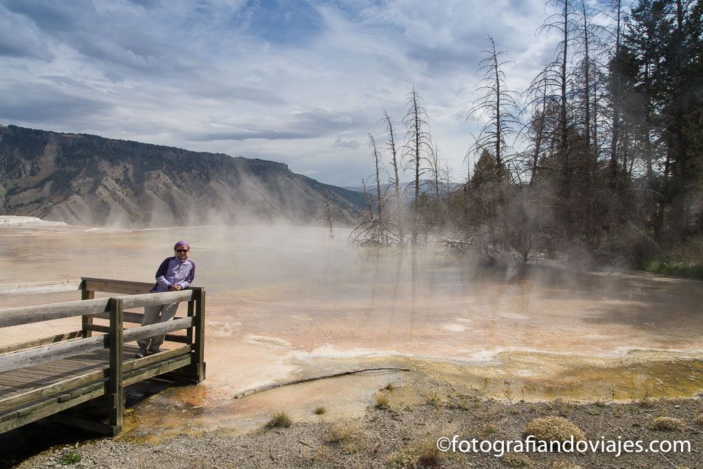 Mammoth hot spring Yellowstone