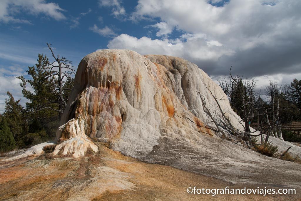 Orange Mound spring Mammoth hot spring Yellowstone