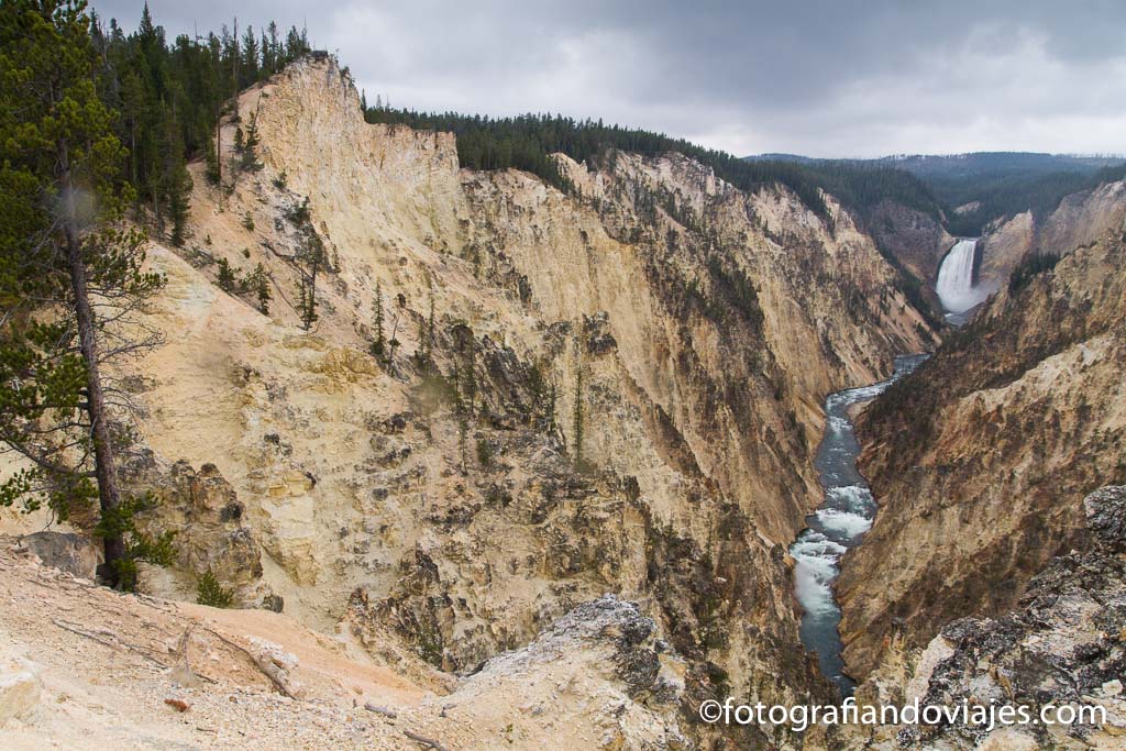 canyon Yellowstone estados unidos