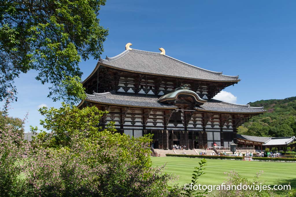 Nara japon