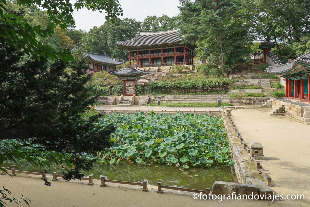 palacios reales de seul Jardín secreto de Changdeokgung