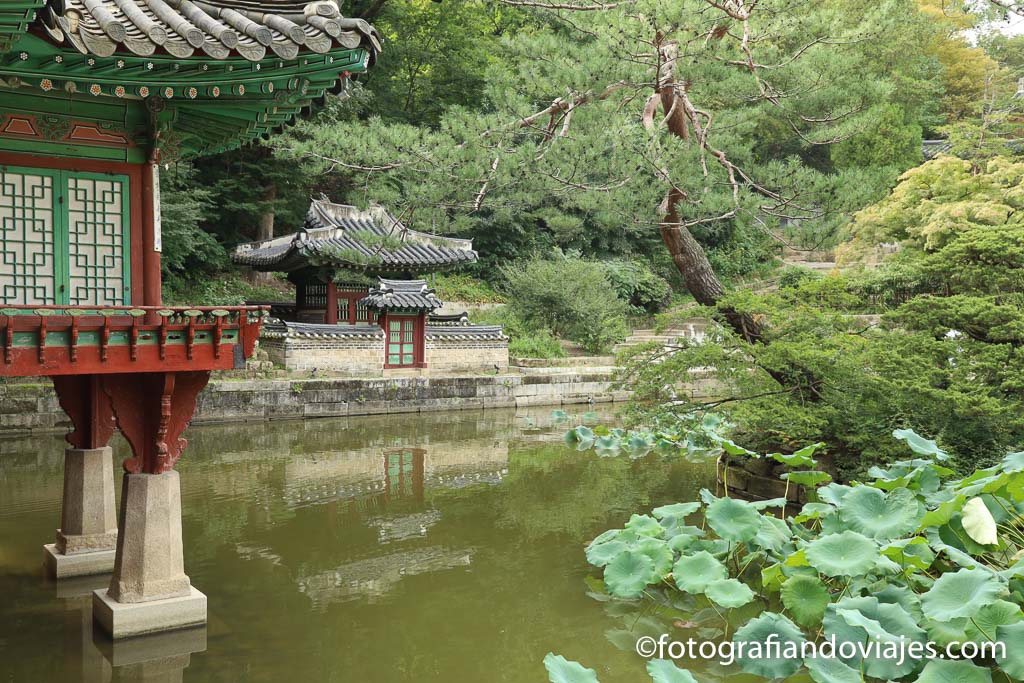 Jardín secreto de Changdeokgung en Seul