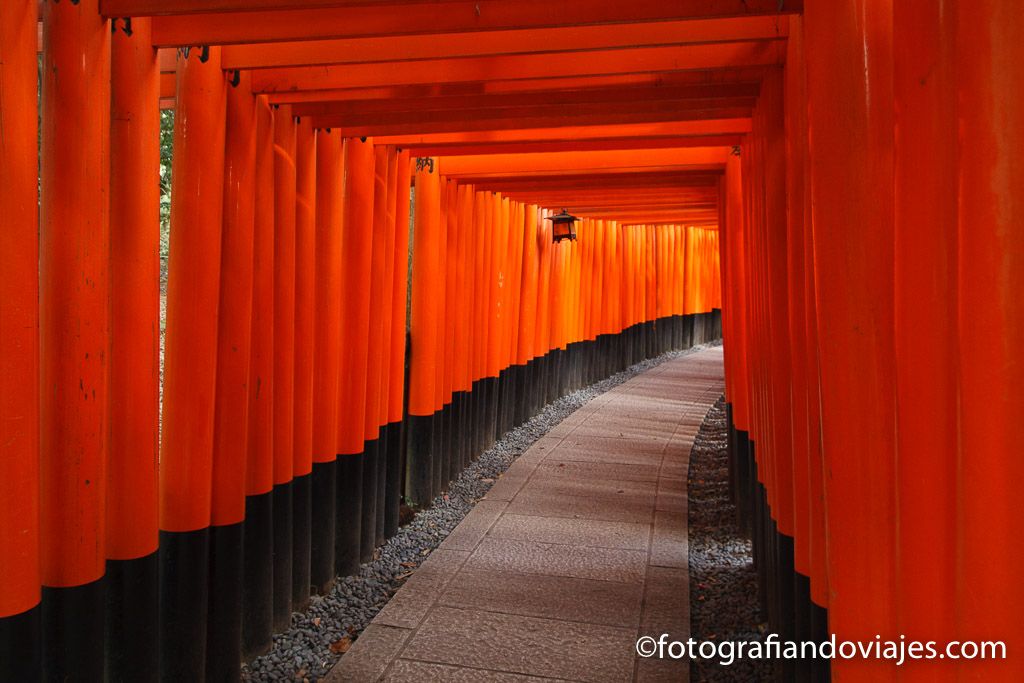 Santuario de Fushimi Inari en Kioto://es.wikipedia.org/wiki/Torii