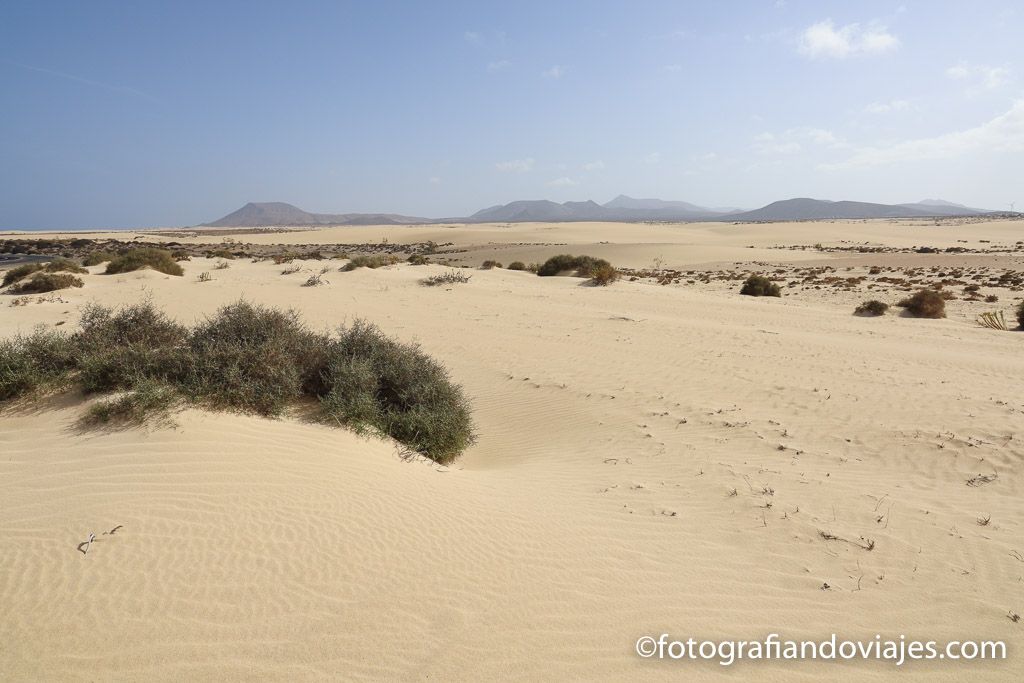 Dunas de Corralejo Fuerteventura