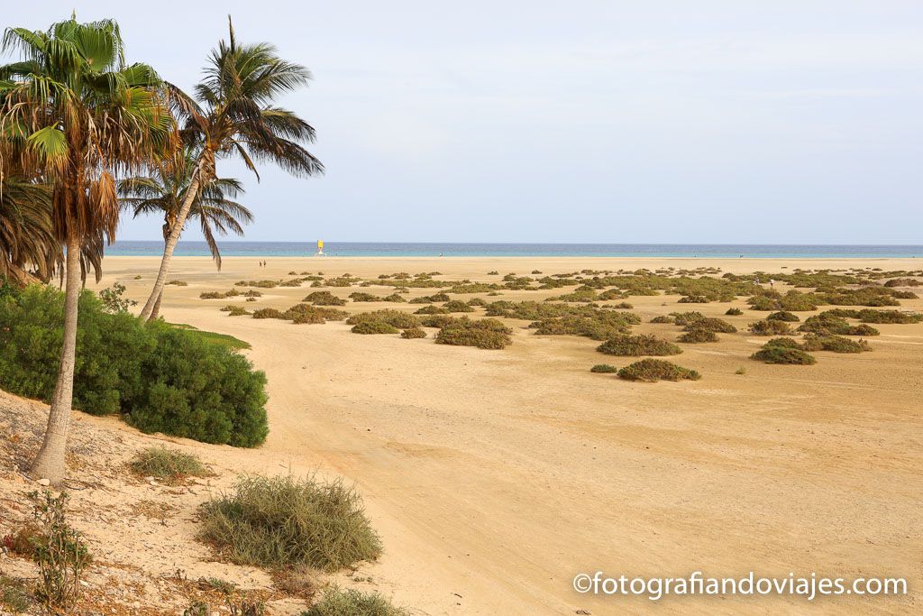 Playas Sotavento Jandia Fuerteventura