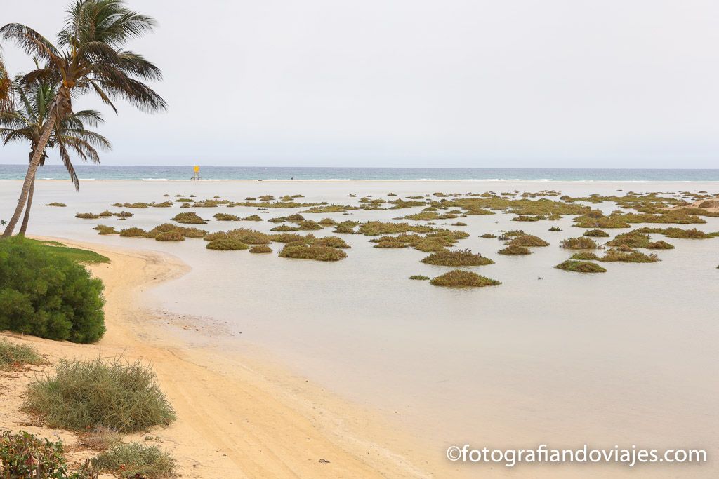 Playas Sotavento laguna Jandia Fuerteventura