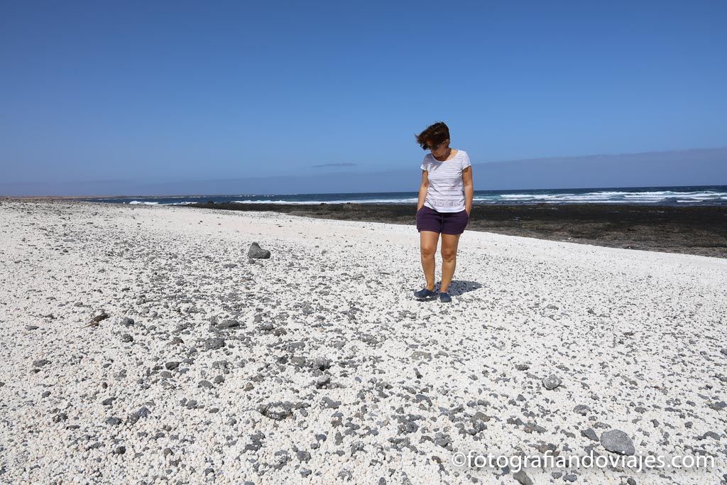 Síntesis de 24 artículos: playa de las palomitas fuerteventura como llegar [actualizado recientemente]