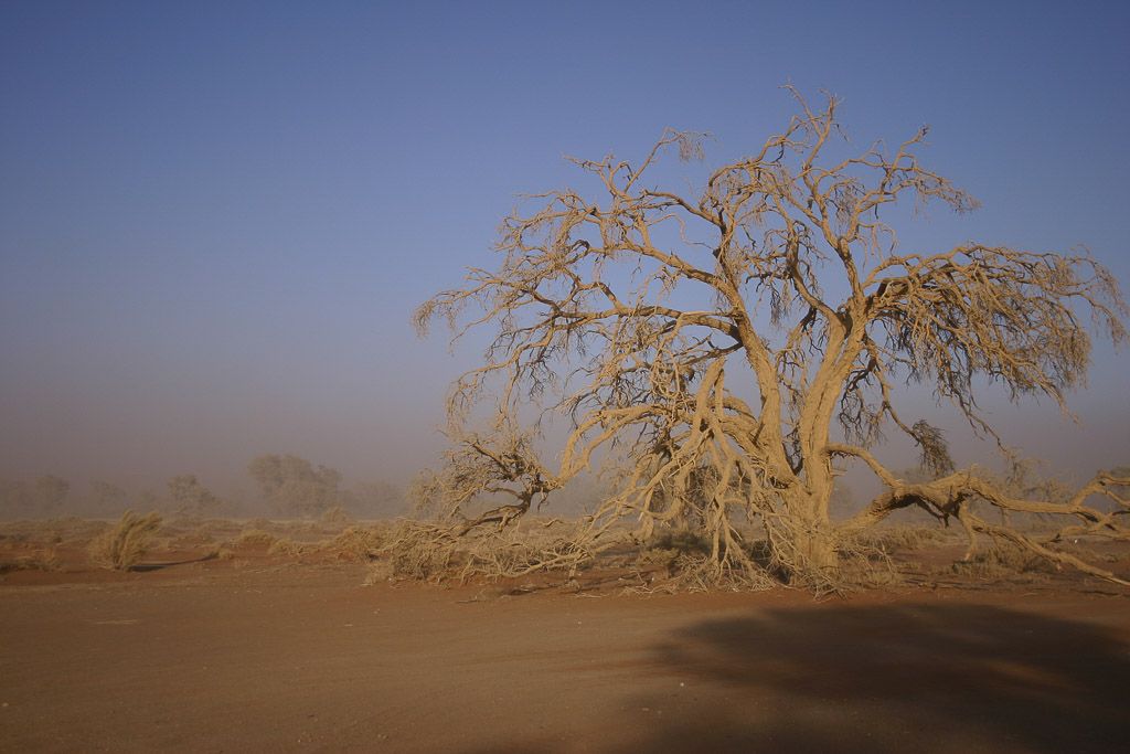 Deadvlei o valle muerto en desierto namib namibia