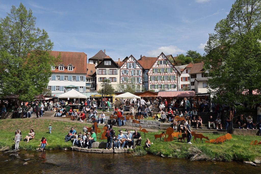 Schiltach recorrido visitar selva negra