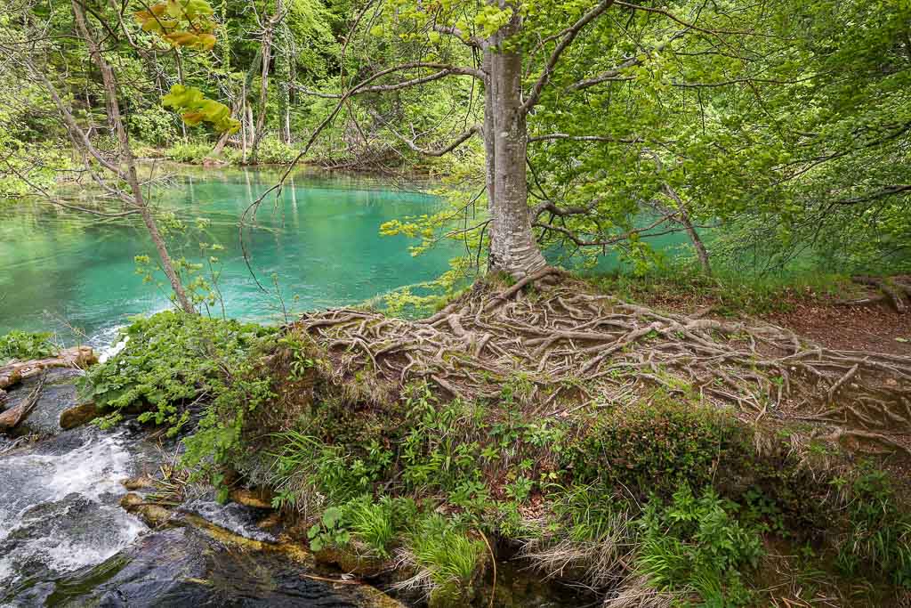 Lagos plitvice como visitar por libre