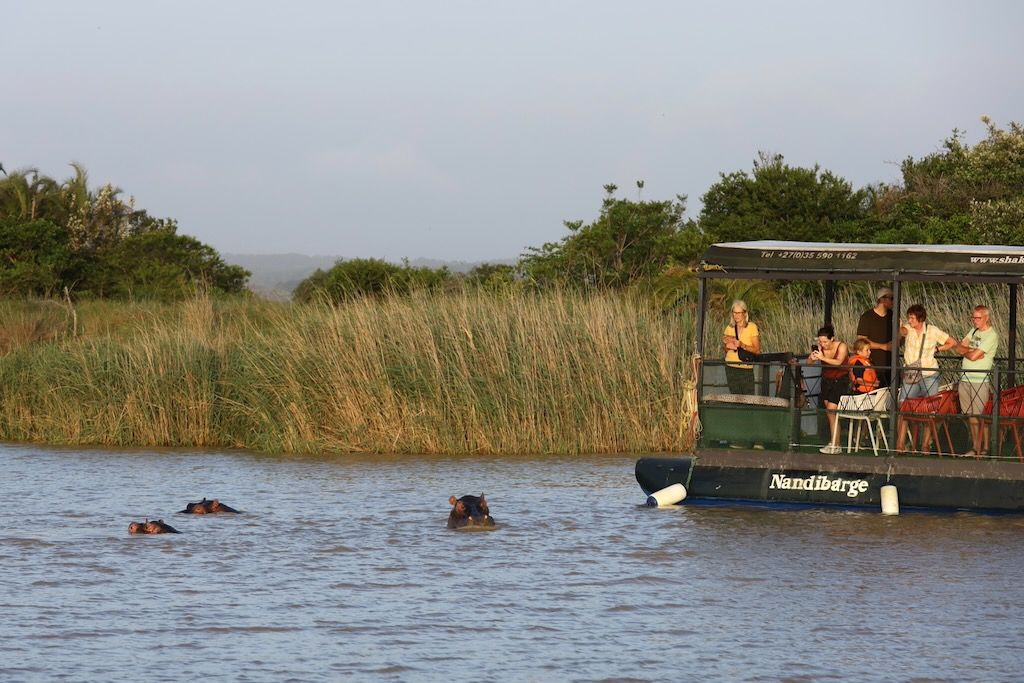 Hipopótamos Santa Lucía Parque de Isimangaliso sudafrica