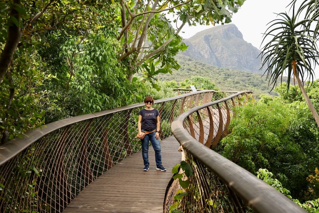 Jardín ⁨Kirstenbosch⁩ ciudad del cabo