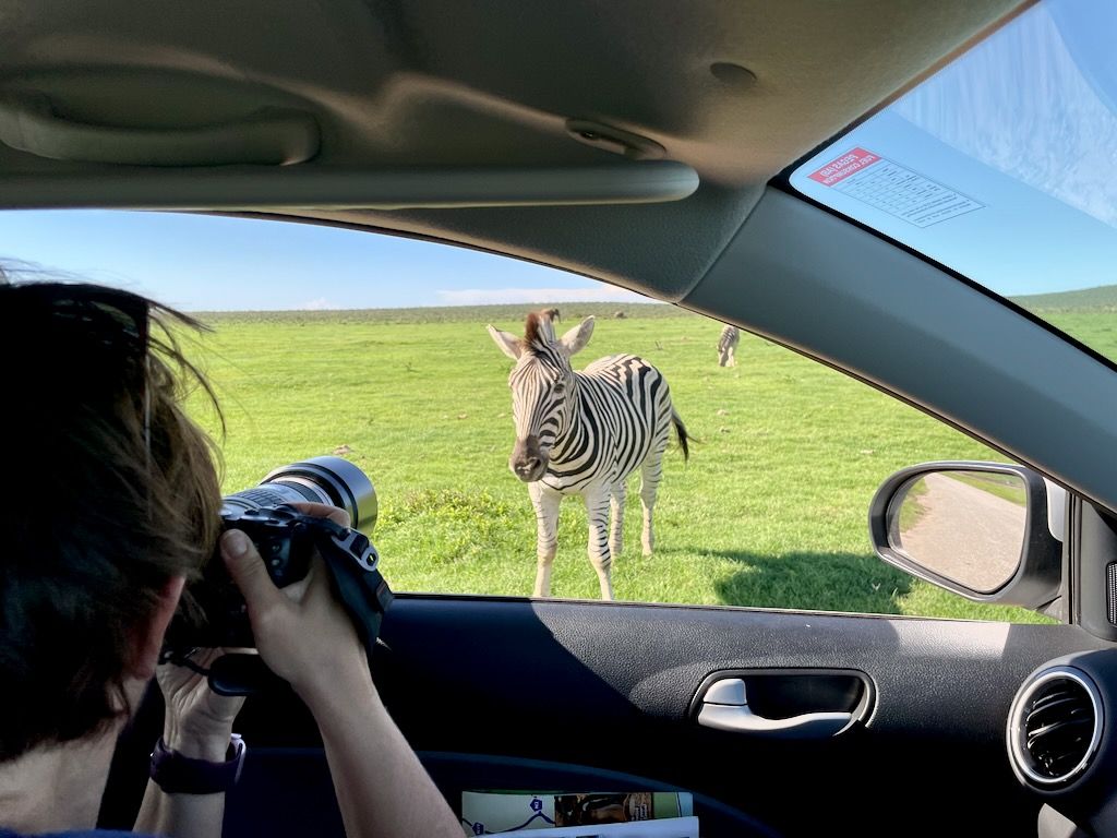 Safari en Addo coche Sudafrica