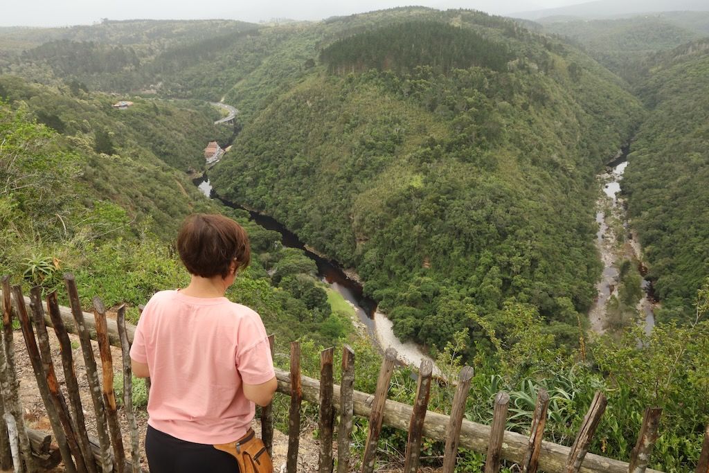 Wilderness⁩ ruta jardin sudafrica